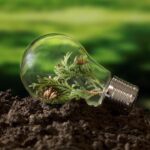 Economía circular y tecnología: claves para la sostenibilidad y la Biodiversidad