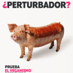 Veganuary lanza su campaña 2025 y se prepara para un nuevo Enero Vegano 