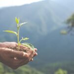 SACS Group adopta el modelo BIC: 80% del agua reutilizada y 65% de proveedores locales impulsan su compromiso con la sostenibilidad