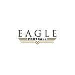 John Textor, Presidente Eagle Football, felicita al Olympique Lyonnais por su clasificación para Ligue 1