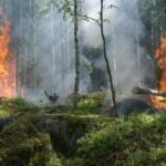 Los incendios forestales y las tormentas severas en Estados Unidos elevan las pérdidas aseguradas globales a 80 mil millones de dólares en el primer semestre de 2025, según estimaciones del Swiss Re Institute.