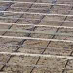 Estudio internacional revela el impacto de la ganadería industrial en las metas climáticas