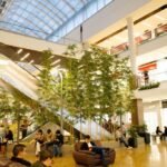 Salitre Plaza Celebra 29 Años con excelentes cifras, innovación y compromiso social